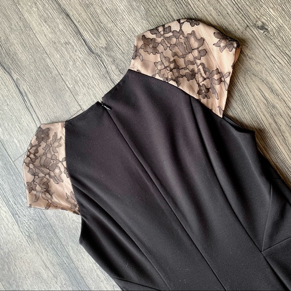 NWT Erin by Erin Fetherston Lace Cap Sleeve Sheath Dress - Picture 12 of 15